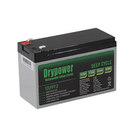 Drypower High power 12.8V 7.2Ah Lithium Iron Phosphate Rechargeable Battery