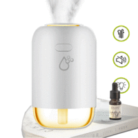 Sansai Portable Humidifier 260ml With LED Night Light One-Button Touch Switch