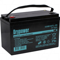 Drypower 12SB110TL-FR 12V 110Ah Long Life Standby AGM SLA Battery Cw/ 12 VX 100