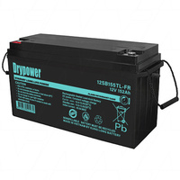 Drypower 12SB155TL-FR 12V 152Ah Long Life Standby Sealed Lead Acid AGM Battery 
