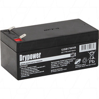Drypower 12SB17WHR 12V 17W/Cell 10min SLA High Rate Battery for Standby and UPS