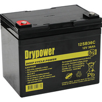 Drypower 12V 36Ah Sealed Lead Acid Hybrid Gel Battery for Deep Cycle Motive Power