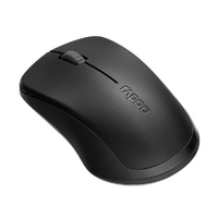 RAPOO 1620 Entry Level 2.4 Ghz 1000 DPI Wireless Mouse 10m Range Black