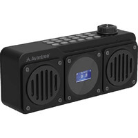 AVANTREE Wireless 4 IN 1 Portable FM Radio BT Speaker Dual Driver 14W Micro SD