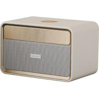 HiFuture Passion X Portable  Gold Bluetooth Speaker 100W Max Audio Power