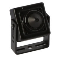 12VDC150MA CCTV Camera With Pin-Hole Infinite Focus Miniature CAM308