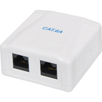 Dual Keystone Surface Mount Wall Box RJ45 Cat6a 