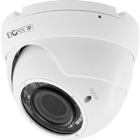 DOME 30M IR WHITE IP CAMERA