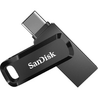 256GB USB3.1 TYPE-C DUAL GO FLASH DRIVE 