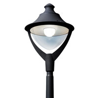 Fumagalli Beppe 50W LED Hanging Lamp (Black)