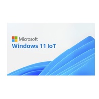 Microsoft Windows 11 IOT Enterprise Multi Language OLC - By Order - NO Refund once issued - Key Only
