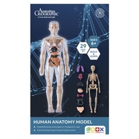 Australian Geographic GA0067 Human Anatomy Model 29 Pieces and Removable Parts