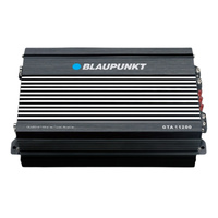 Blaupunkt Mono Class D Amplifier