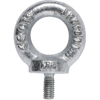H3319 Zinc Plated M6 Eye Bolt for Ceiling Rigging to Suit C5215-16 Subwoofers