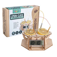Heebie Jeebies Lemon Clock Creator STEM Educational Wood Kit with LED Display