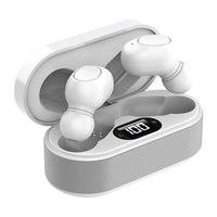 Wellcare Sound Amplify TWS WT [HT-E102WT]