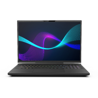 INFINITY N7 (WQXGA) GAMING NOTEBOOK (MODEL N7-14R7A-899)