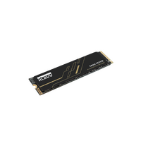 1Tb Klevv Cras C925G M.2 Ssd