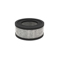 Ion & UV Air Purifier Filter