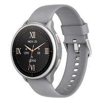 Pulse 4 Smart Watch (Grey Fog)