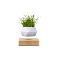 Levitating & Spinning Plant Pot  