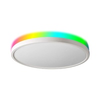 SmarterHome™ LED RGBIC + CCT Ceiling Light (Wi-Fi)   