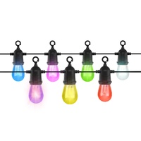 SmarterHome™ RGBICW Festoon Lights (15m)   