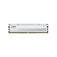 32GB KIT (6000MHz) KLEVV FIT V GAMING MEMORY WHITE