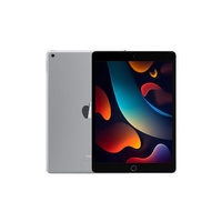 Apple iPad 10.2" 9th Gen (256GB, Wi-Fi, Silver)