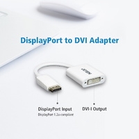 Aten VanCryst DisplayPort Male to DVI Female Adapter