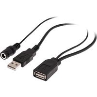 USB Power Injection Lead 30cm USBAF-USBAM+DC5.5 2.1mm