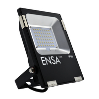 Professional 20W 5000K Cool White Colour Temperature LED Flood Light