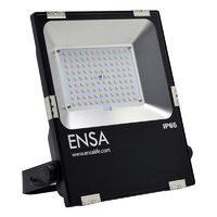 ENSA Professional 50W LED Flood Light 3000K Warm White IP65 Rated Suits Outdoor