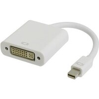 20cm Mini DisplayPort Male to DVI-D Single Link Female Adapter