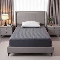 Giselle Water-Resistant Mattress Protector Microfiber 360° Fit King Single