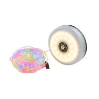 Outdoor Retractable 10m RGB LED String Lights
