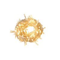 500 LED Fairy String Lights 100M (Warm White)