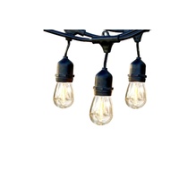 Outdoor 14.6m String Lights Single  