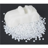 Polymorh Modeling Moulding Plastic Reuseable 100G