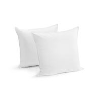 Ovela Set of 2 Microfibre European Pillows