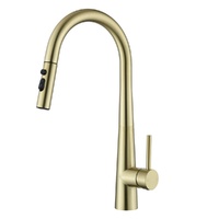 Ovela Pull Out Sink Mixer (Brushed Gold)