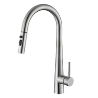 Ovela Pull Out Sink Mixer (Brushed Nickel)