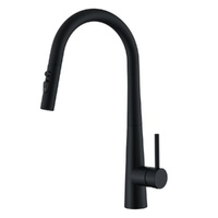 Ovela Pull Out Sink Mixer (Matte Black)