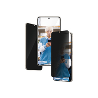 PanzerGlass UltraWide Fit Privacy  SP - Samsung GS24