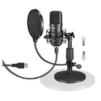 USB Condenser Cardioid Microphone Audio Podcast Broadcast Recording Stand Filter