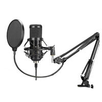 USB Condenser Microphone With Arm 192HKz 24Bt Filter Audio Broadcast Podcast