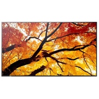 Sharp PN-M322 32" Large Display FHD