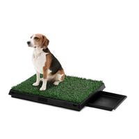 Pawever Pets Portable Potty Pad