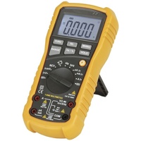 LCD Display Alarm and LED Indicator Economy True RMS Autorange Multimeter