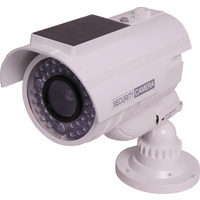 Dummy Professional Security Camera